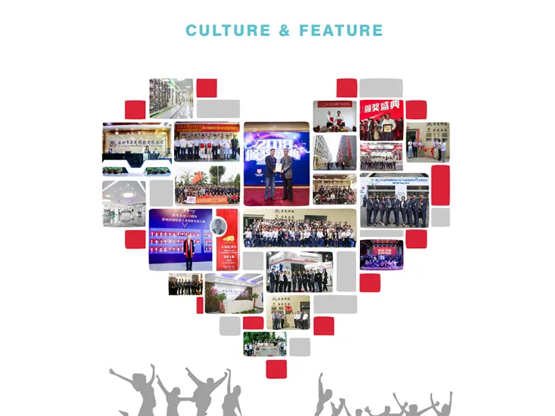 Cultura della marina